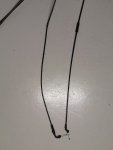 IMG_20200925_141056.jpg