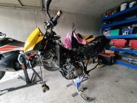 20201227_111455.jpg